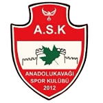 Anadolu Kavağıspor