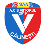 ACS Viitorul 2019 Călinești