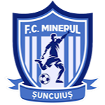 CS Minerul Șuncuiuș