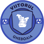 FC Viitorul Gheboaia