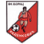 FK Borac Radenković