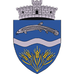 ACS Milenium Vărgata